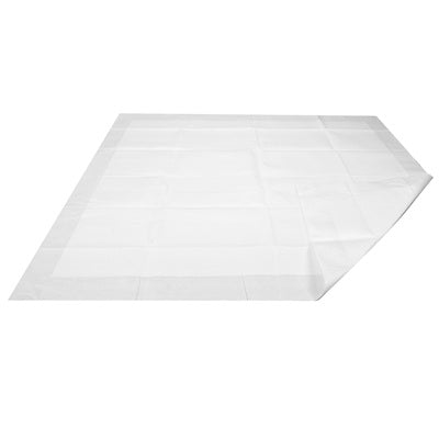 Ventra Air-Permeable Underpads — Case of 40